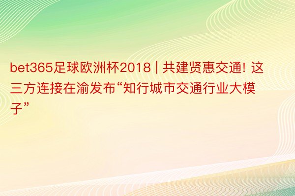 bet365足球欧洲杯2018 | 共建贤惠交通! 这三方连接在渝发布“知行城市交通行业大模子”