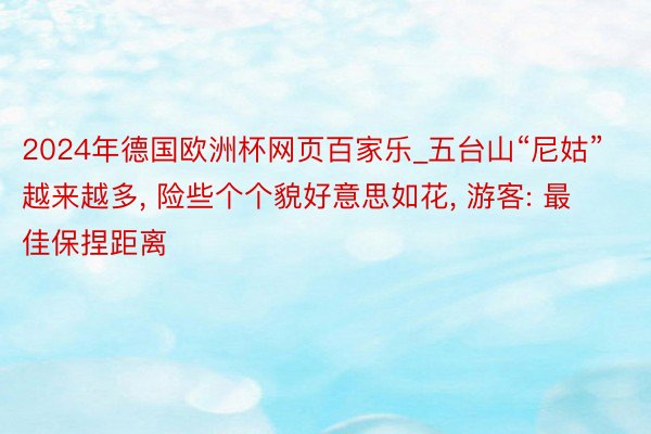 2024年德国欧洲杯网页百家乐_五台山“尼姑”越来越多, 险些个个貌好意思如花, 游客: 最佳保捏距离